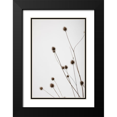 Thistle Grey 01 Black Modern Wood Framed Art Print with Double Matting by 1x Studio III