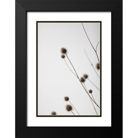 Thistle Grey 03 Black Modern Wood Framed Art Print with Double Matting by 1x Studio III