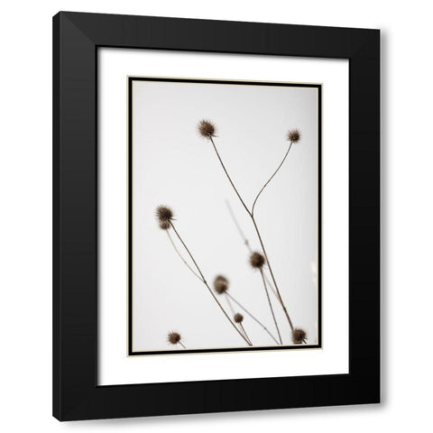 Thistle Grey 04 Black Modern Wood Framed Art Print with Double Matting by 1x Studio III