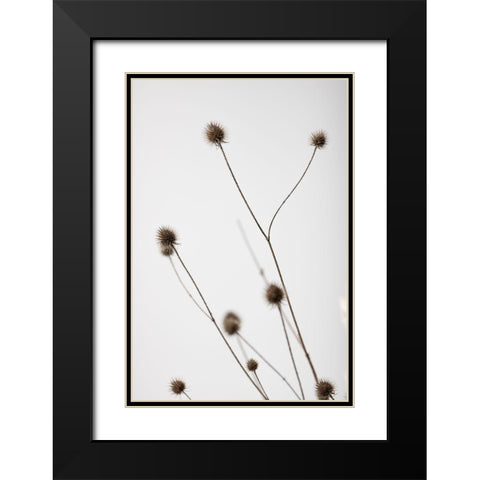 Thistle Grey 04 Black Modern Wood Framed Art Print with Double Matting by 1x Studio III