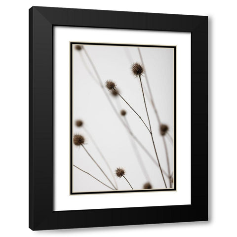 Thistle Grey 05 Black Modern Wood Framed Art Print with Double Matting by 1x Studio III