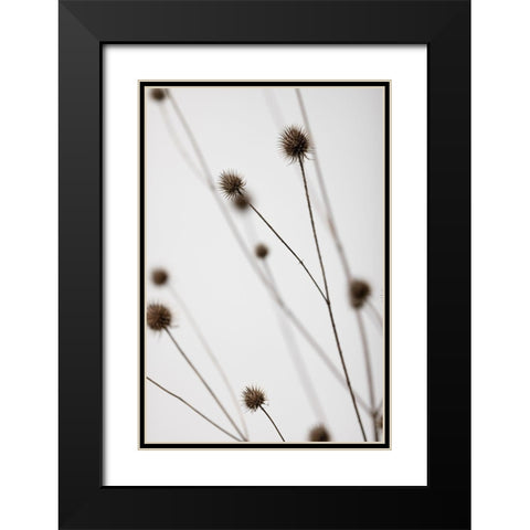 Thistle Grey 05 Black Modern Wood Framed Art Print with Double Matting by 1x Studio III