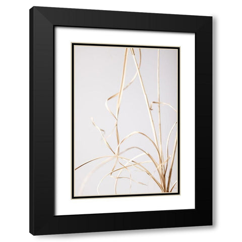 Dried Grass Grey 01 Black Modern Wood Framed Art Print with Double Matting by 1x Studio III