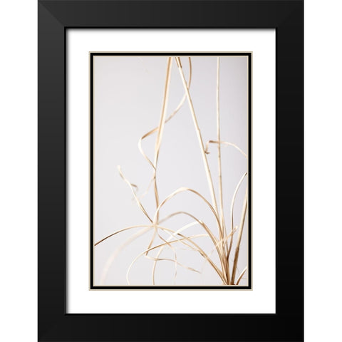 Dried Grass Grey 01 Black Modern Wood Framed Art Print with Double Matting by 1x Studio III