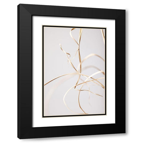 Dried Grass Grey 02 Black Modern Wood Framed Art Print with Double Matting by 1x Studio III