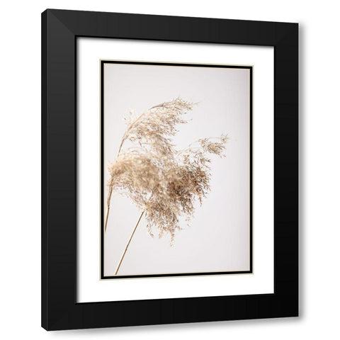 Reed Grass Grey 04 Black Modern Wood Framed Art Print with Double Matting by 1x Studio III