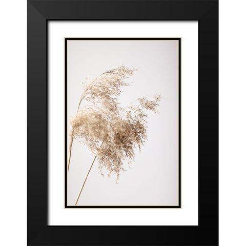 Reed Grass Grey 04 Black Modern Wood Framed Art Print with Double Matting by 1x Studio III