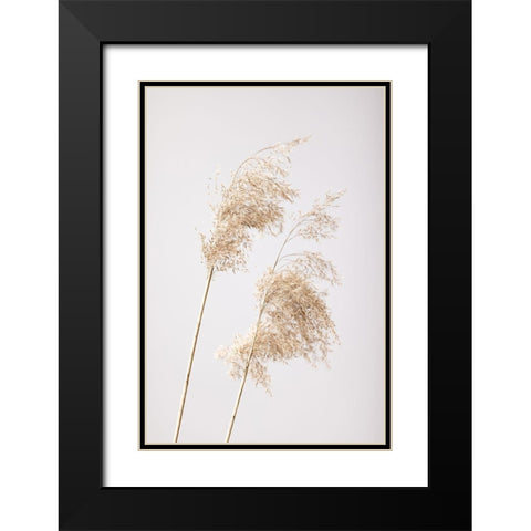 Reed Grass Grey 05 Black Modern Wood Framed Art Print with Double Matting by 1x Studio III