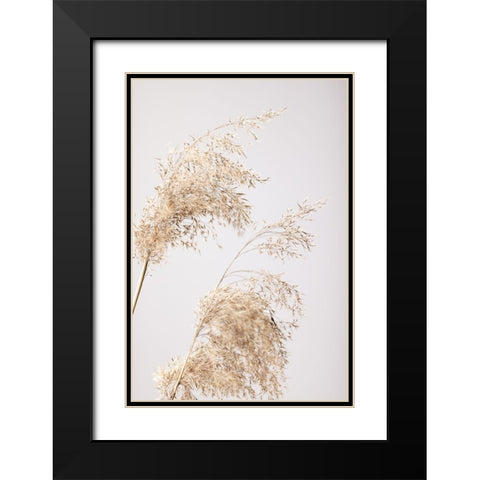 Reed Grass Grey 06 Black Modern Wood Framed Art Print with Double Matting by 1x Studio III