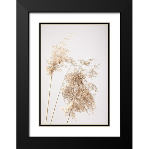 Reed Grass Grey 07 Black Modern Wood Framed Art Print with Double Matting by 1x Studio III