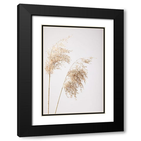 Reed Grass Grey 08 Black Modern Wood Framed Art Print with Double Matting by 1x Studio III