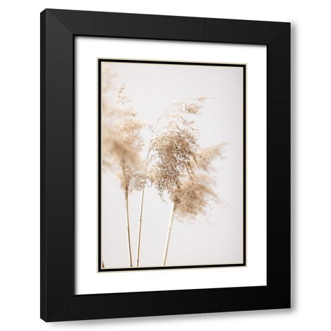 Reed Grass Grey 09 Black Modern Wood Framed Art Print with Double Matting by 1x Studio III