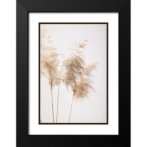Reed Grass Grey 09 Black Modern Wood Framed Art Print with Double Matting by 1x Studio III