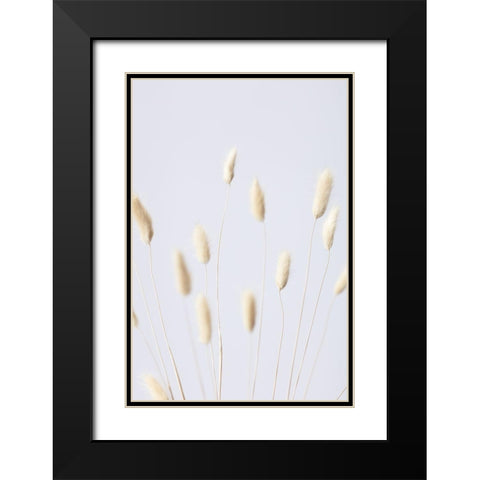 Bunny Grass No 3 Black Modern Wood Framed Art Print with Double Matting by 1x Studio III