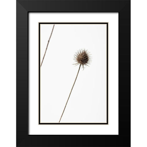 Thistle Grey 08 Black Modern Wood Framed Art Print with Double Matting by 1x Studio III