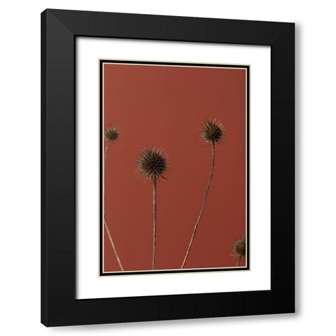 Thistle Rust Red 02 Black Modern Wood Framed Art Print with Double Matting by 1x Studio III