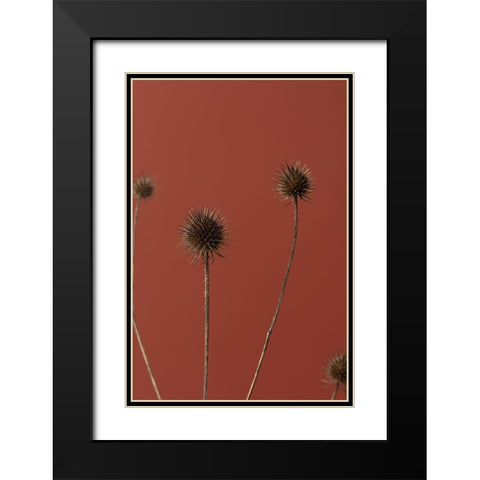 Thistle Rust Red 02 Black Modern Wood Framed Art Print with Double Matting by 1x Studio III