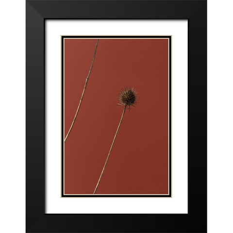 Thistle Rust Red 03 Black Modern Wood Framed Art Print with Double Matting by 1x Studio III