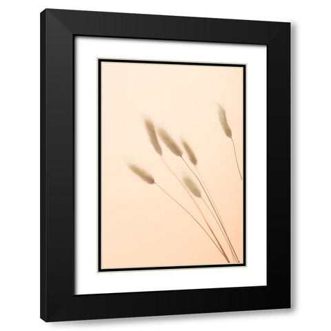 Bunny Grass Peach 03 Black Modern Wood Framed Art Print with Double Matting by 1x Studio III