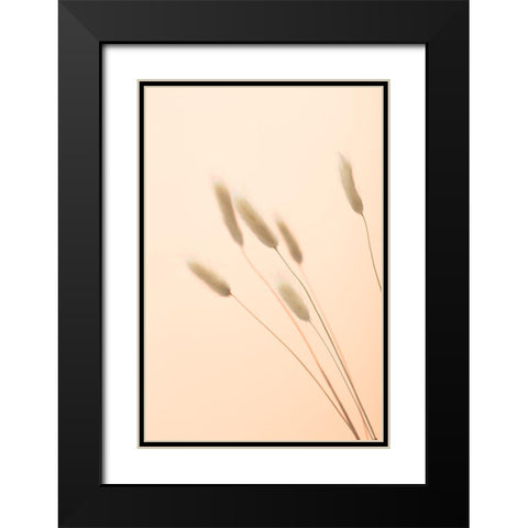 Bunny Grass Peach 03 Black Modern Wood Framed Art Print with Double Matting by 1x Studio III