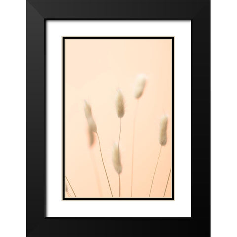 Bunny Grass Peach 04 Black Modern Wood Framed Art Print with Double Matting by 1x Studio III
