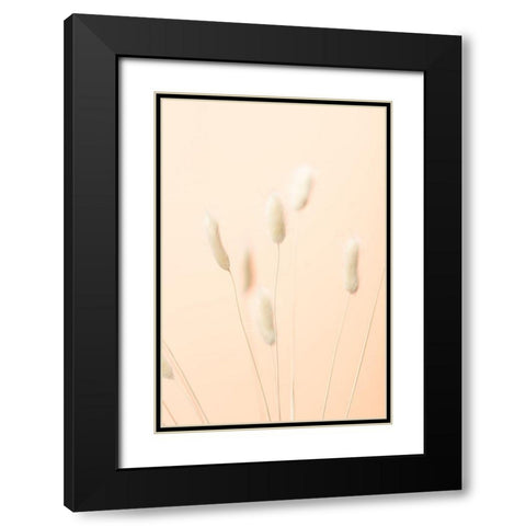 Bunny Grass Peach 06 Black Modern Wood Framed Art Print with Double Matting by 1x Studio III