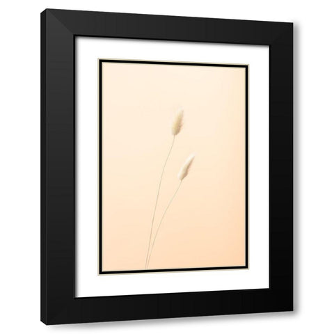 Bunny Grass Peach 08 Black Modern Wood Framed Art Print with Double Matting by 1x Studio III