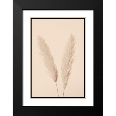 Pampas Grass Beige 01 Black Modern Wood Framed Art Print with Double Matting by 1x Studio III