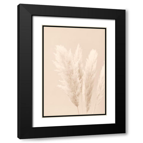 Pampas Grass Beige 02 Black Modern Wood Framed Art Print with Double Matting by 1x Studio III