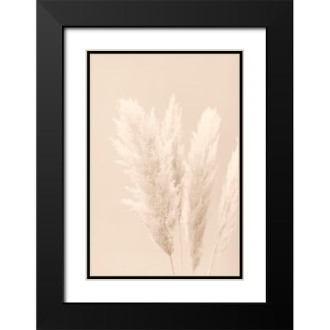 Pampas Grass Beige 02 Black Modern Wood Framed Art Print with Double Matting by 1x Studio III
