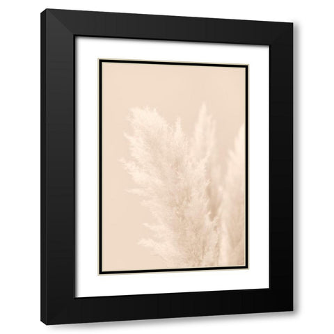 Pampas Grass Beige 03 Black Modern Wood Framed Art Print with Double Matting by 1x Studio III