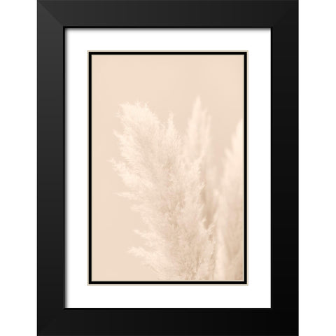 Pampas Grass Beige 03 Black Modern Wood Framed Art Print with Double Matting by 1x Studio III