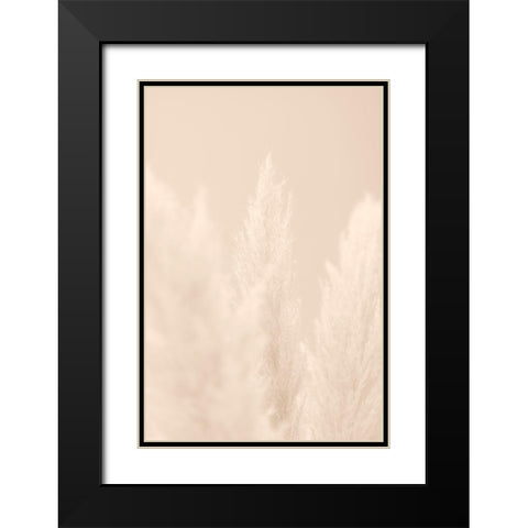 Pampas Grass Beige 04 Black Modern Wood Framed Art Print with Double Matting by 1x Studio III