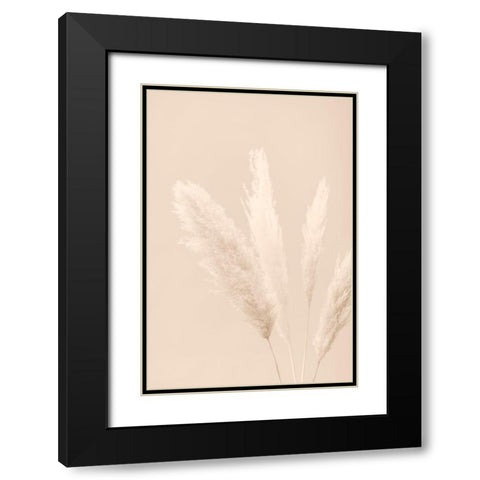 Pampas Grass Beige 06 Black Modern Wood Framed Art Print with Double Matting by 1x Studio III