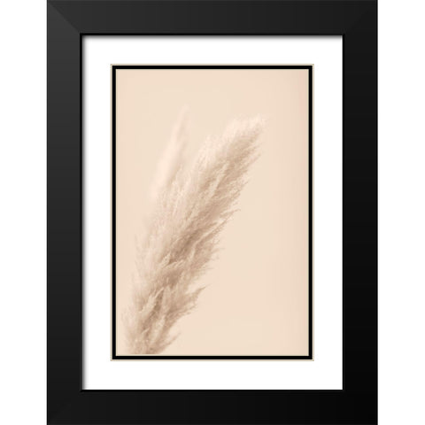 Pampas Grass Beige 07 Black Modern Wood Framed Art Print with Double Matting by 1x Studio III