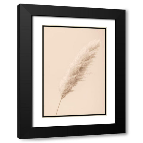 Pampas Grass Begie 14 Black Modern Wood Framed Art Print with Double Matting by 1x Studio III
