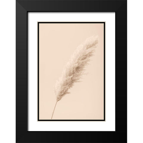 Pampas Grass Begie 14 Black Modern Wood Framed Art Print with Double Matting by 1x Studio III