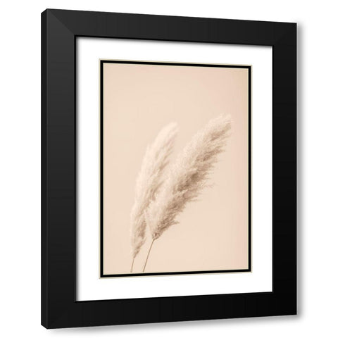 Pampas Grass Begie 15 Black Modern Wood Framed Art Print with Double Matting by 1x Studio III