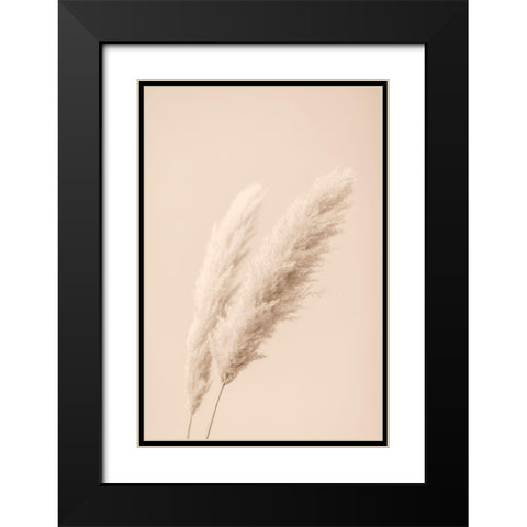 Pampas Grass Begie 15 Black Modern Wood Framed Art Print with Double Matting by 1x Studio III