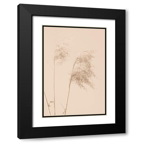Reed Grass Begie 01 Black Modern Wood Framed Art Print with Double Matting by 1x Studio III