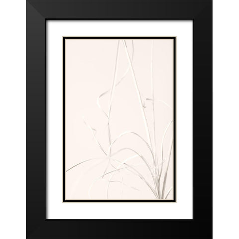 Dried Grass Light Beige Black Modern Wood Framed Art Print with Double Matting by 1x Studio III