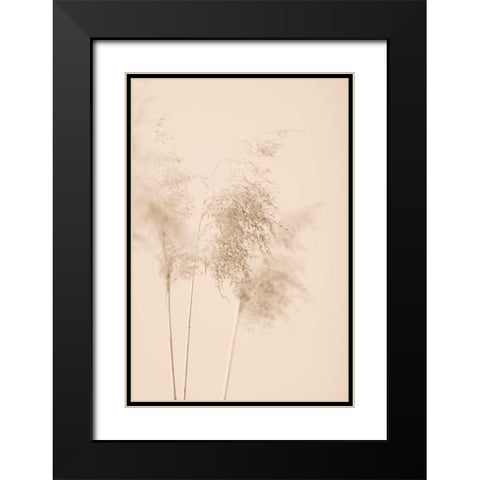 Reed Grass Beige 09 Black Modern Wood Framed Art Print with Double Matting by 1x Studio III