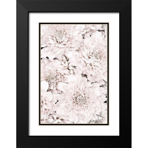 Chrysanthemum No 07 Black Modern Wood Framed Art Print with Double Matting by 1x Studio III