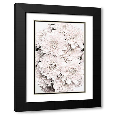 Chrysanthemum No 08 Black Modern Wood Framed Art Print with Double Matting by 1x Studio III