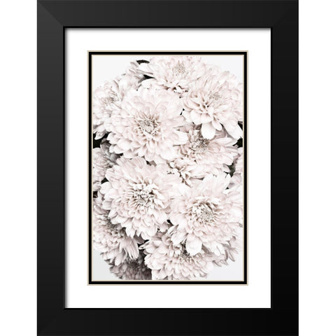 Chrysanthemum No 08 Black Modern Wood Framed Art Print with Double Matting by 1x Studio III