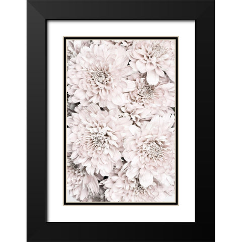 Chrysanthemum No 09 Black Modern Wood Framed Art Print with Double Matting by 1x Studio III