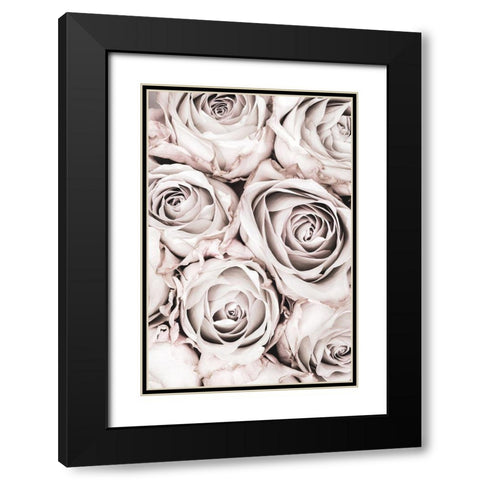 Grey Roses No 01 Black Modern Wood Framed Art Print with Double Matting by 1x Studio III