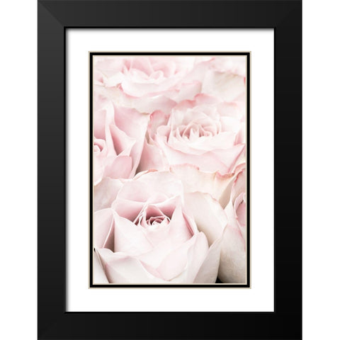 Pink Roses 05 Black Modern Wood Framed Art Print with Double Matting by 1x Studio III
