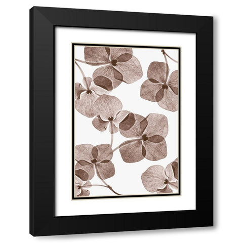 Botanical 4 Black Modern Wood Framed Art Print with Double Matting by Lenka
