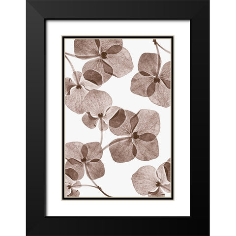Botanical 4 Black Modern Wood Framed Art Print with Double Matting by Lenka